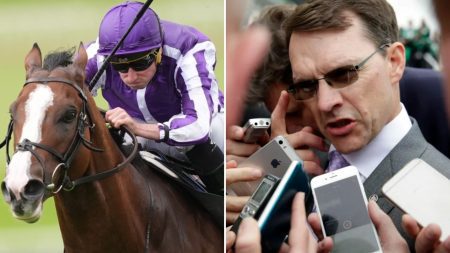 Aidan O’Brien confirms £2.5million Group 1-winning horse who ‘had it all’ has retired after two runs for new owners