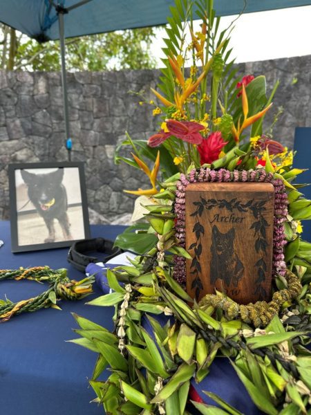 Hawai‘i Police Department honors life, service of K9 Archer with private memorial : Big Island Now