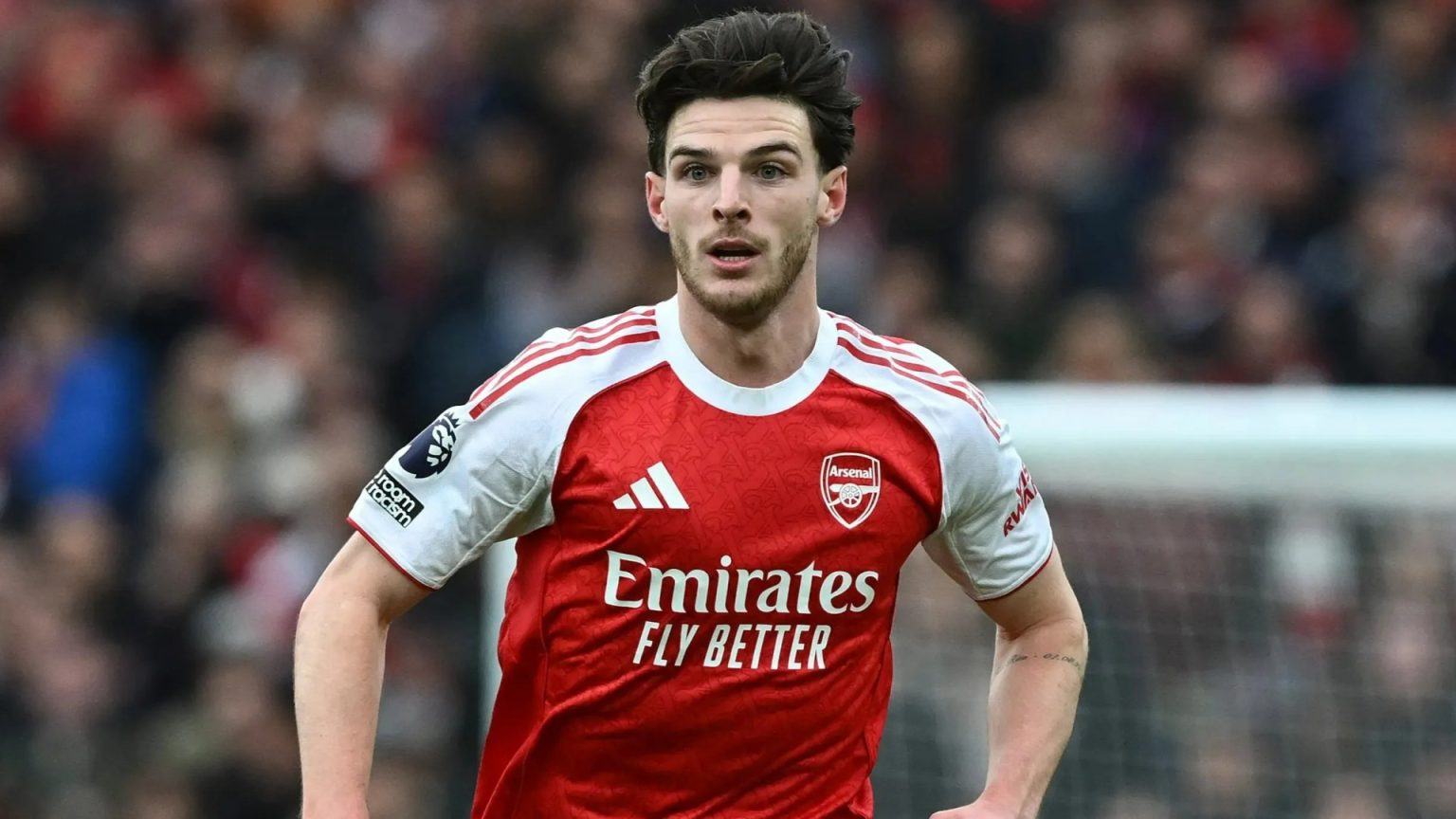 How can I buy them and how much do they cost?