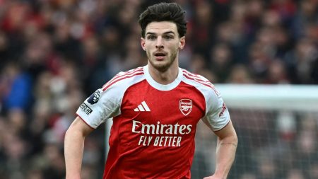 How can I buy them and how much do they cost?