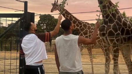 Jude Bellingham gets over England World Cup qualifiers snub and Real calendar mystery by feeding giraffes at Madrid zoo
