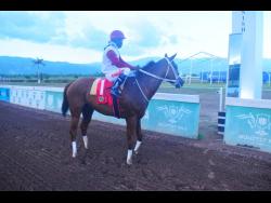 Mamma Mia sprints away with I’msatisfied Trophy | Sports