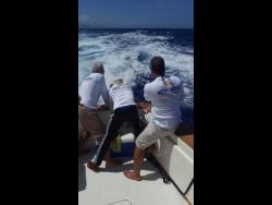 Organisers optimistic about 62nd Port Antonio International Marlin tournament | Sports