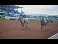 Racing beats Melissa to the punch | Sports