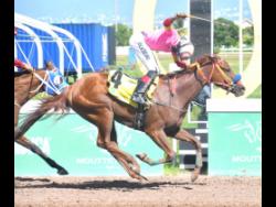 Spotlight on Main Mistress, Zulu Warrior in Saturday’s feature | Sports