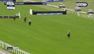 Tragedy at Wetherby races as 1-100 certain winner Anaconda suffers fatal injury when miles clear at final hurdle