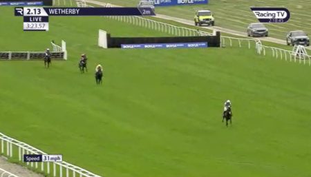 Tragedy at Wetherby races as 1-100 certain winner Anaconda suffers fatal injury when miles clear at final hurdle