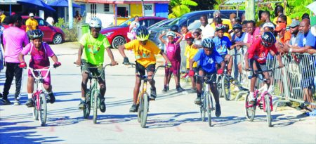 ASHLEY BROOKS ROAD RACE CELEBRATES 30TH YEAR – The Anguillian Newspaper – The Weekly Independent Paper of Anguilla