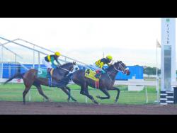 Dawkins thrills fans with three-timer | Sports