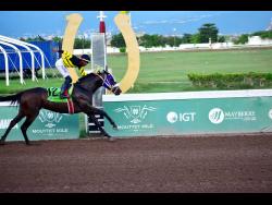 Easy assignment for Digital One | Sports