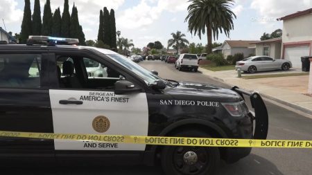 Elderly couple with gunshot wounds believed to have died in murder-suicide