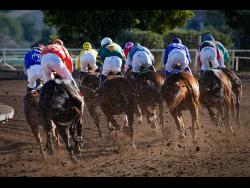 Mixed Sale still on at Caymanas Park | Sports