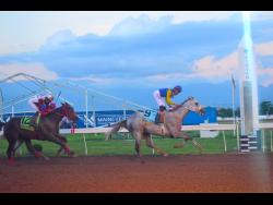 Mojito captures Jamaica Cup | Sports