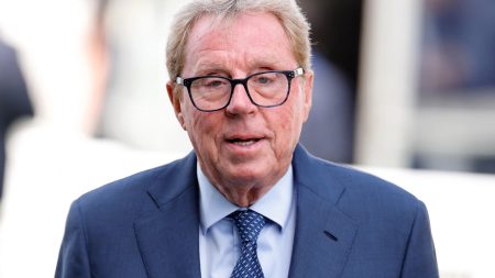 Raid by burglars using ladder at Harry Redknapp’s £5million mansion described as ‘Louvre-style heist’