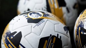 SPFL club ready to hand lifetime ban to fan after ‘racist remark’ made to opposition player