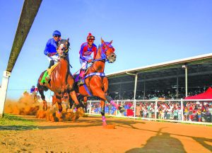 “Showdown of champions” horse meet set for Dec 14 at Port Mourant