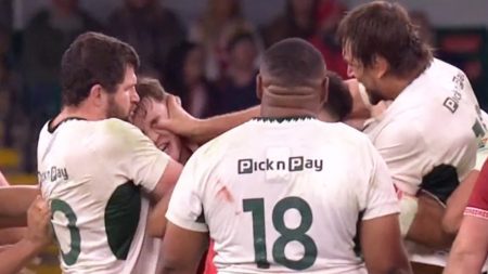 Sickening moment South Africa rugby star GOUGES Wales rival’s eye in worst ever Welsh defeat on home soil
