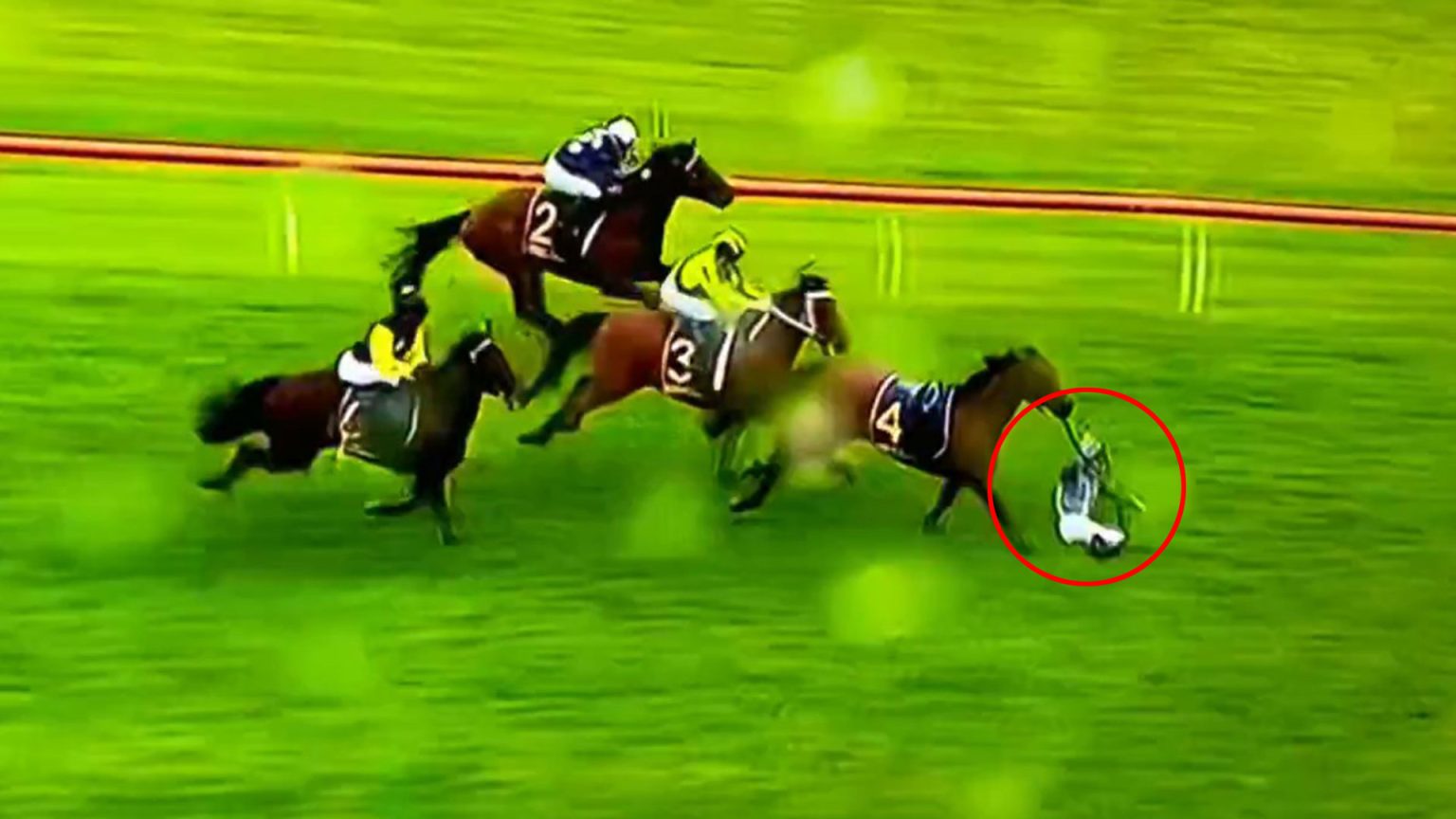 Staggering moment jockey knocked off inches from victory by another horse’s HEAD