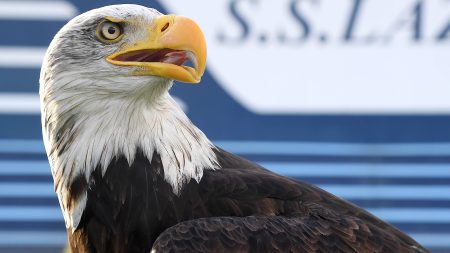 Superstitious Lazio finally bring back iconic eagle a year after sacking falconer who showed off his penis enlargement