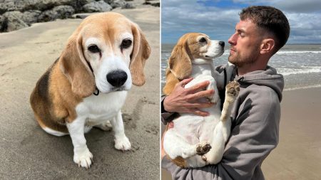 ‘This will continue to haunt us’ ‘This will continue to haunt us’