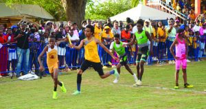 VALLEY PRIMARY SCHOOL GOLDEN HORSES GALLOP TO VICTORY AT 2025 SPORTS DAY – The Anguillian Newspaper – The Weekly Independent Paper of Anguilla