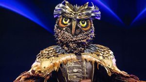 Wasn’t on my bingo card’ – Former Tottenham star leaves fans stunned as he’s unmasked as singing owl on hit TV show