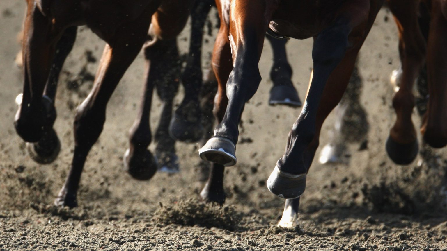 ‘World-class’ new racetrack given formal government approval with opening date set