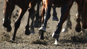 ‘World-class’ new racetrack given formal government approval with opening date set