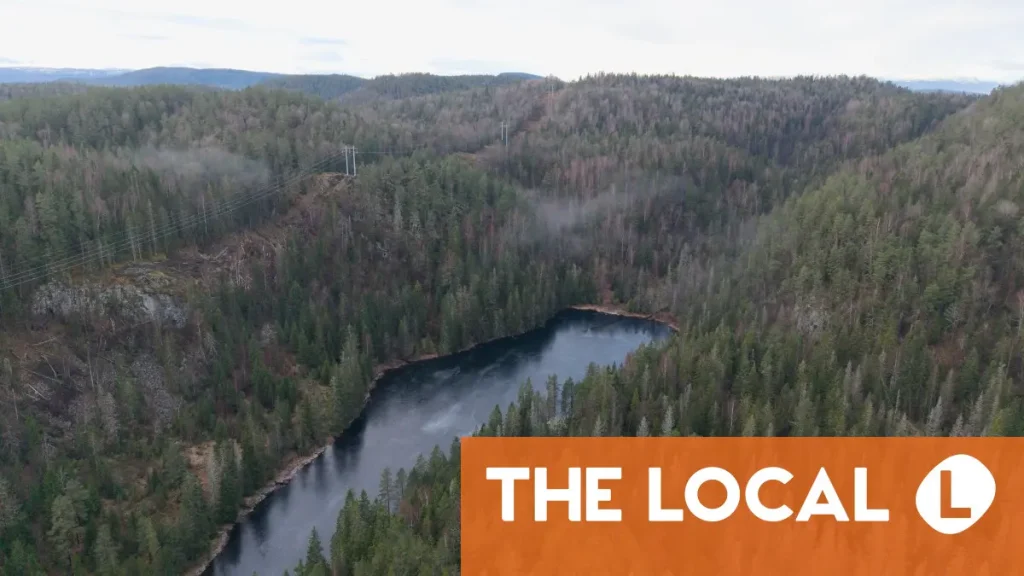 Beetles block mining of Europe’s biggest rare earths deposit in Norway