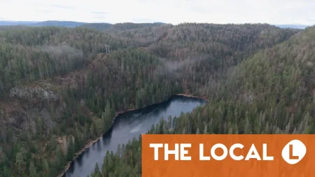 Beetles block mining of Europe’s biggest rare earths deposit in Norway Beetles block mining of Europe’s biggest rare earths deposit in Norway