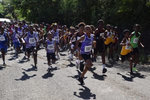 District 8 dominate primary school road race