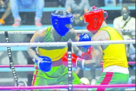 Elite talent on display at this weekend’s GBA National Open Boxing Championships Elite talent on display at this weekend’s GBA National Open Boxing Championships