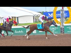 Intrestntimesahead a cinch for Sunday’s Will In Charge | Sports