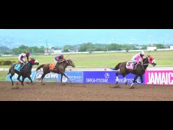 Intrestntimesahead lands Caymanas feature | Sports Intrestntimesahead lands Caymanas feature | Sports