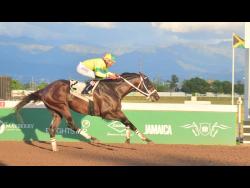 Legacy Isle puts on sprinting masterclass | Sports