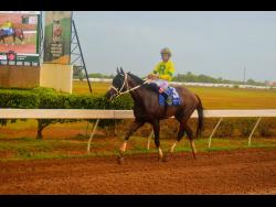 Legacy Isle to play stalker in Chris Armond Memorial | Sports