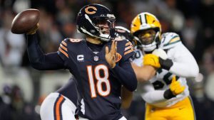 NFL Week 17 playoff picture: Clinching scenarios, standings