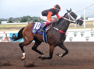 No stopping Money Market in Boxing Day Sprint