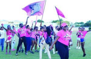 PINK PANTHERS POUNCE TO VICTORY AT 2025 ALHCS SPORTS DAY – The Anguillian Newspaper – The Weekly Independent Paper of Anguilla