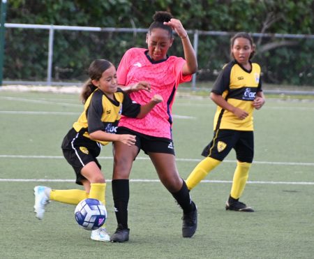Semi-finals complete: Primary school football leagues set for finals day Semi-finals complete: Primary school football leagues set for finals day