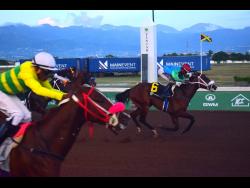 Six winners in three race meets for Nelson | Sports