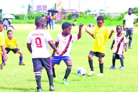 Successful year-end programme hosted by VMFA Successful year-end programme hosted by VMFA