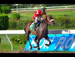 Warsaw creates 37-1 upset to beat m claimers | Sports