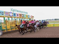 We Jammin the one to beat in Jamaica Two-Year-Old Stakes | Sports