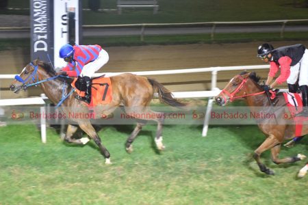 All eyes on Dancing Prospector