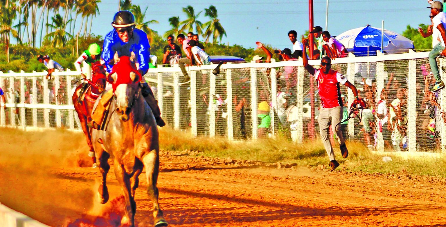 All roads lead to Rising Sun tomorrow for New Year’s stakes