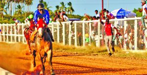 All roads lead to Rising Sun tomorrow for New Year’s stakes