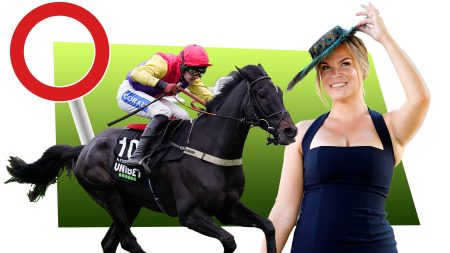 Cheltenham Festival ticket and hotel packages from £189pp plus VIP upgrades and hospitality