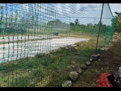 Denbigh High back in the Grace Headley Cup | Sports