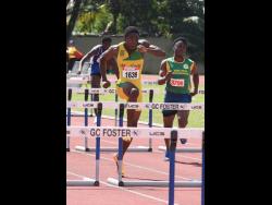 Excelsior’s Campbell, Hoffman steal spotlight at Central Hurdles meet | Sports